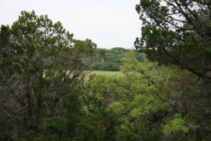 IMG_3384